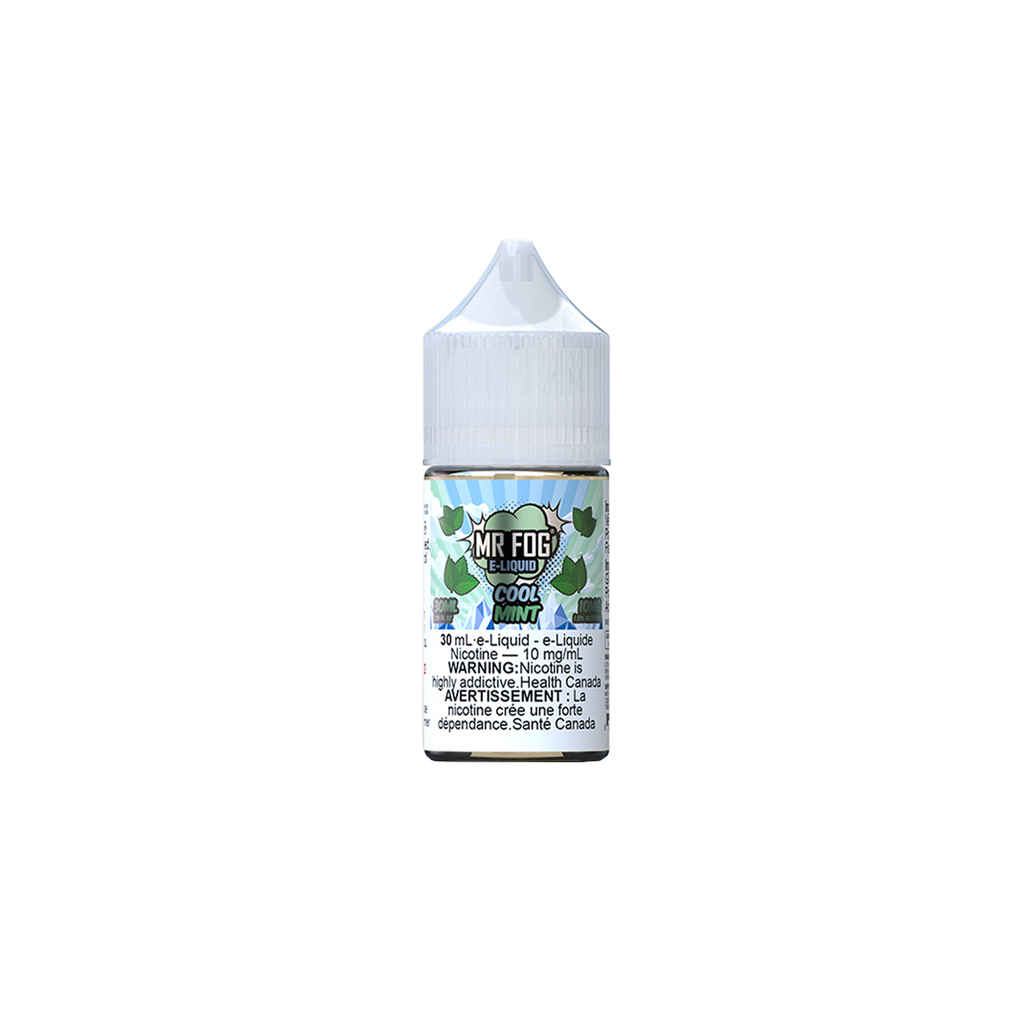 Mr Fog E-Liquid Salt - Cool Mint